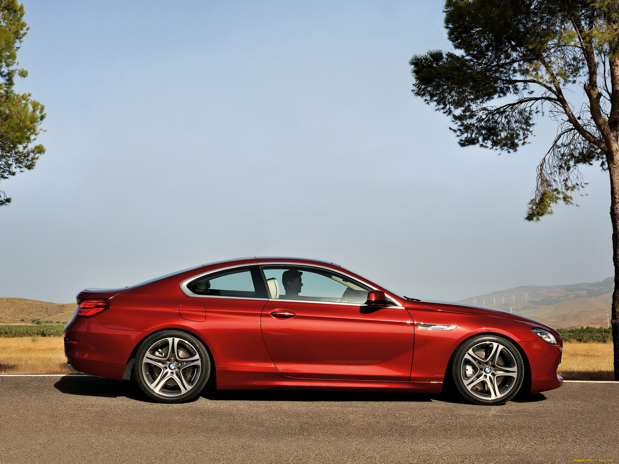 , bmw, coupe